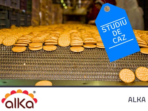ALKA Group – Studiu de caz